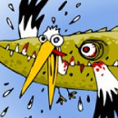 Mangeur de Cigogne